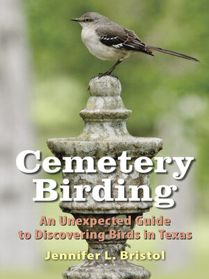 cover image of Cemetery Birding
